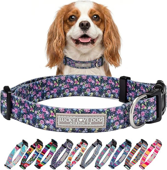 Lucky Love Dog Martingale Dog Collar - Adjustable, No-Slip, Durable, & Soft Webbing Collar for Male and Female Dogs Ideal for Training & Walking - Primrose, Small