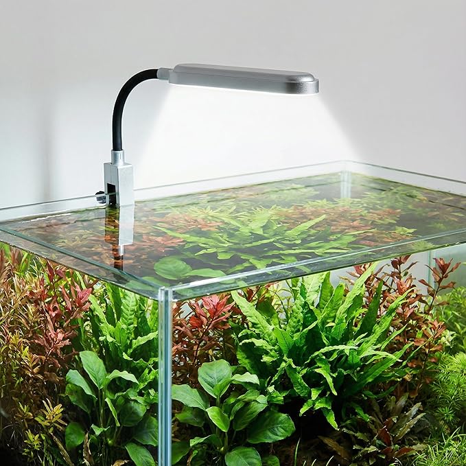 Slim Clip-On Aquarium Light 360° Adjustable LED Fish Tank Light for 1-5 Gallon Tanks, Enhances Fish Colors and Supports Low-Light Plants