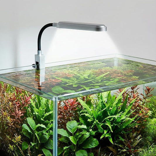 Slim Clip-On Aquarium Light 360° Adjustable LED Fish Tank Light for 1-5 Gallon Tanks, Enhances Fish Colors and Supports Low-Light Plants