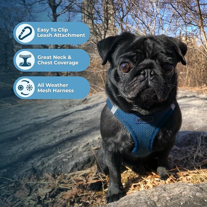 Best Pet Supplies Voyager Step-in Air All Weather Mesh Harness and Reflective Dog 5ft Leash Combo with Neoprene Handle, for Small, Medium and Large Breed Puppies - Blue, X-Small