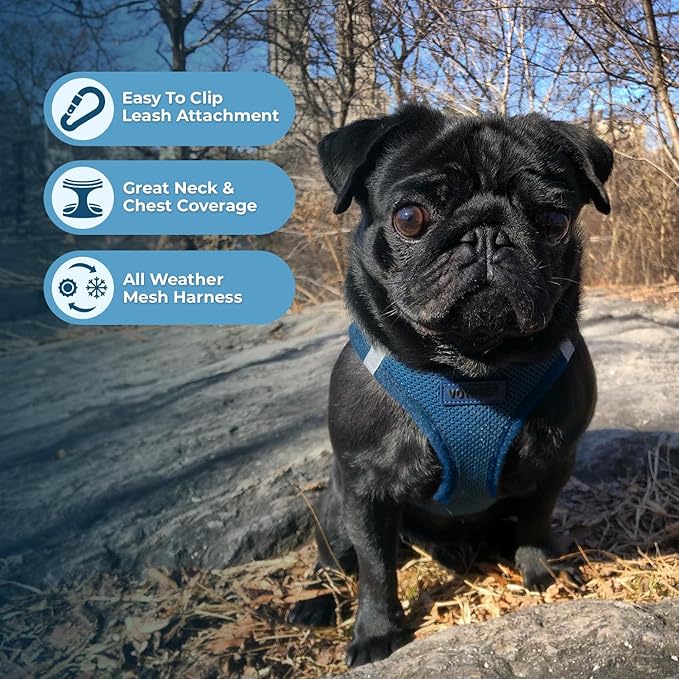 Best Pet Supplies Voyager Step-in Air All Weather Mesh Harness and Reflective Dog 5ft Leash Combo with Neoprene Handle, for Small, Medium and Large Breed Puppies - Blue, Medium