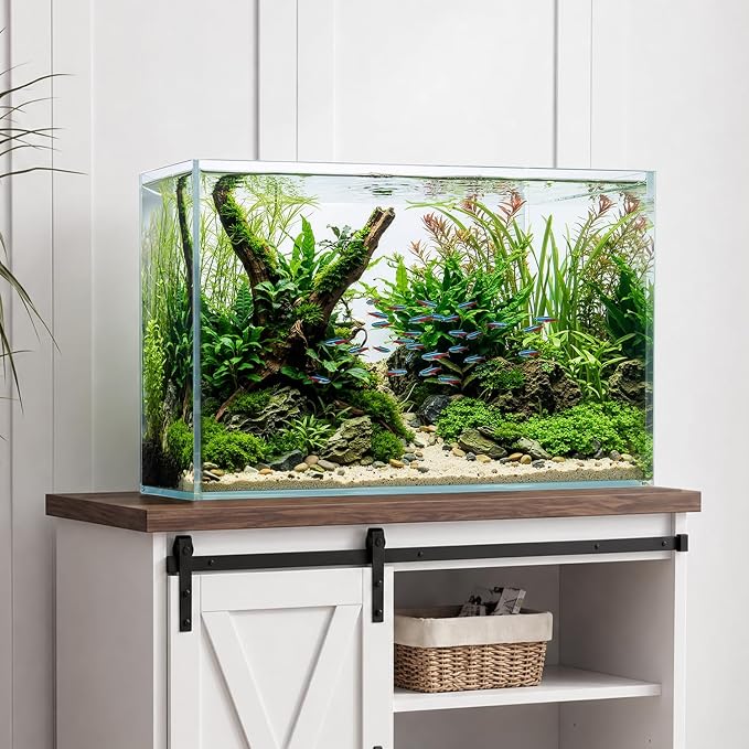 30 Gallon Glass Fish Tank, Standard Aquarium Fish Tank, Rimless Low Iron Aquarium for Betta/Turtle/Goldfish/Snails/Shrimp and Aquatic Planting