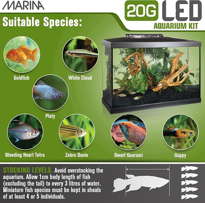 Marina 20 Gallon LED Aquarium Kit with Filter, Lighting & Accessories | Complete Fish Tank Setup