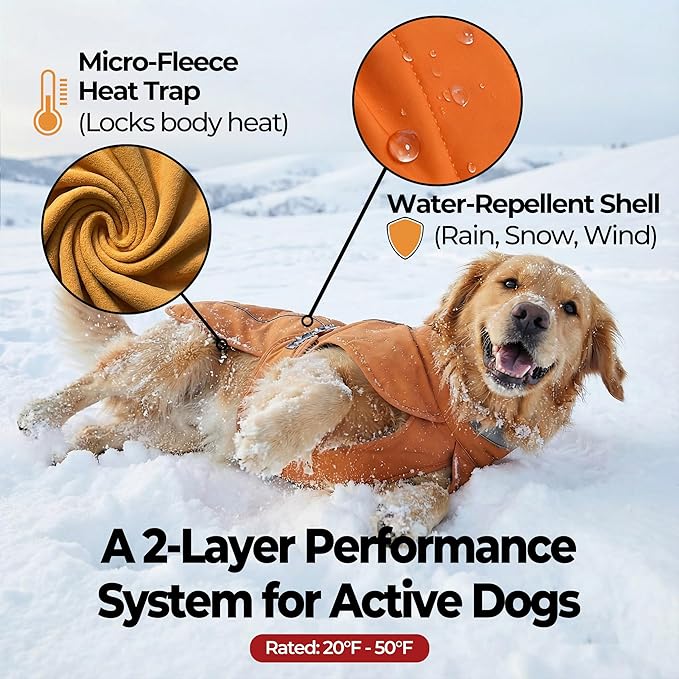 Softshell Dog Winter Vest, Fleece Lined Water-Repellent Jacket with Fur-Safe Buckle (No Hook & Loop) for Hiking, Adjustable Reflective Winter Coat for Active Dogs (Aurantium, Large)