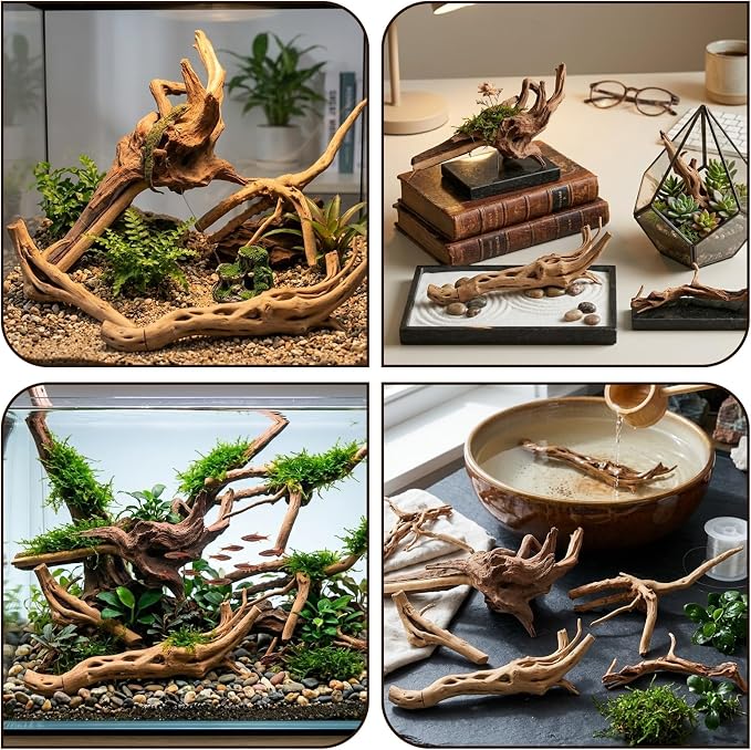 Vmiapxo miapxo 5-Pack Natural Driftwood, Sinkable Spider Wood (6''-8'') | Assorted Shapes Drift Wood, Aquarium Decor, Reptile Terrarium & Fish Tank Wood Branches Decoration