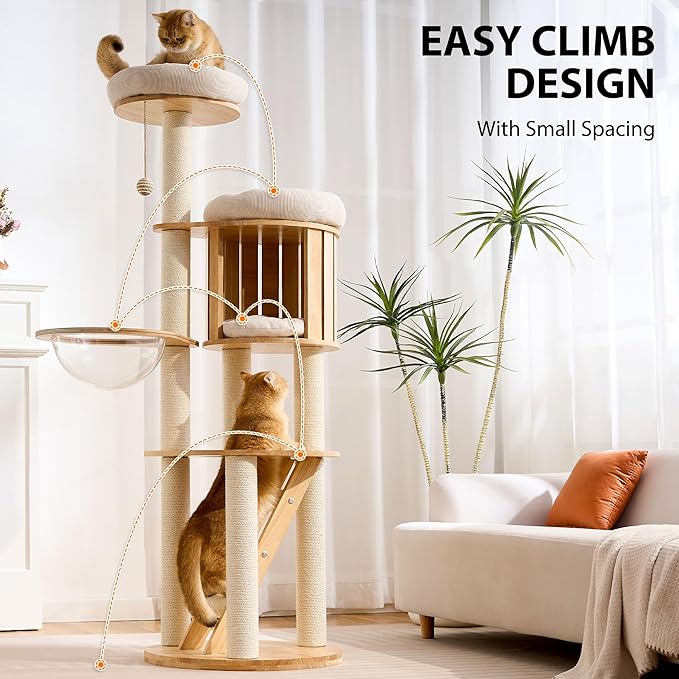 HITTITE Solid Wood Cat Tree Tower with Scratching Post, 61 Inches Tall Cat Towers with Capsule and Condo, Modern Cat Tower with Climbing Ladder and Removable Top Bed for Indoor Cats.