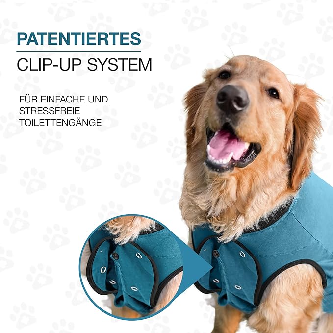 BellyGuard Dog Surgery Recovery Suit, Dog Onesie for Post-Op Care, Recovery Apparel for Female and Male, Surgical Body Cover for Canine Healing Support