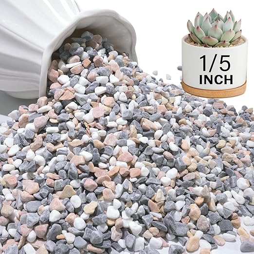 NUPICK 6 lbs Pebbles for Indoor Plants, 1/5 Inch Pea Gravel for Fish Tank, Decorative Rocks for Succulent, Natural River Stones for Vases, Cactus, Landscaping, Bird Bath, Aquarium, Mixed