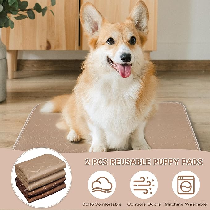 Paw Legend Washable Reusable Dog Pee Pads Super Absorbent (2 Pack) - Washable Reusable Puppy Training Pads | Quality Travel Pee Pads for Dogs | Absorbent and Odor Controlling