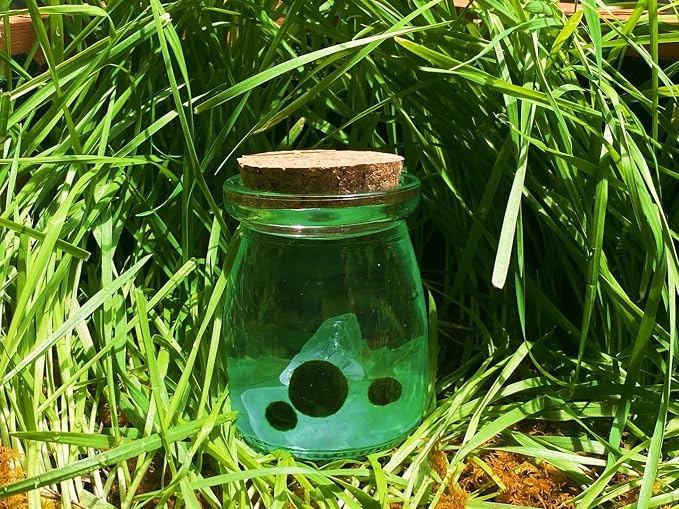 Moss Pet Glass Terrarium Jar Kit with Cork Lid, Mini Desktop Moss Plant Aquarium Decor, Home Ornament Gift