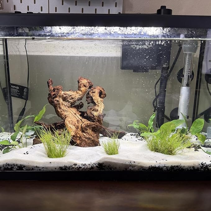 3 PCS Large Natural Aquarium Driftwood 8-10", Aquarium Drift Wood for Fish Tank Decoration, Assorted Size Mopani Wood Twisted Branches Trunk Decor for Freshwater, Reptile Terrarium