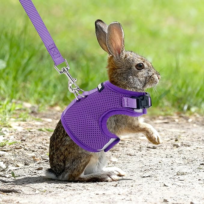 AIITLE Breathable Bunny Harness and Leash Set, Adjustable Straps & Magic Tape Design, Comfort Fit Vest for Puppies, Cats, Squirrels, Rats, Bunnies, Ferrets, Outdoor Walking, Purple S