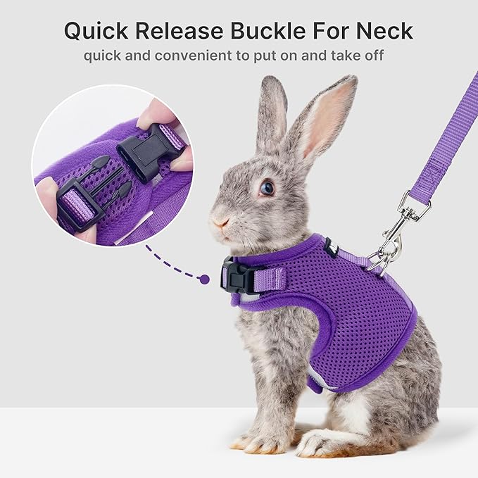 AIITLE Breathable Bunny Harness and Leash Set, Adjustable Straps & Magic Tape Design, Comfort Fit Vest for Puppies, Cats, Squirrels, Rats, Bunnies, Ferrets, Outdoor Walking, Purple S