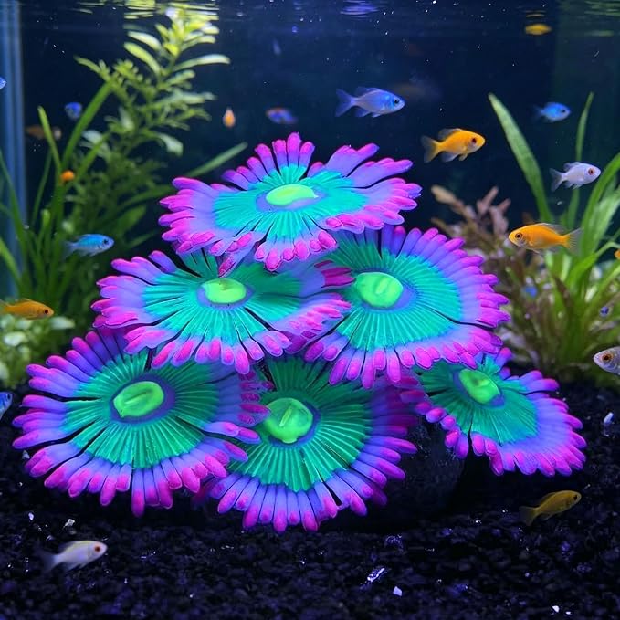 ZtohPyo Glow Fish Tank Decorations, Soft Silicone Coral for Small Aquariums | Soft, fin-friendly neon pink and green silicone coral glows under blue or purple light; its 5.5 oz weighted base stays put.