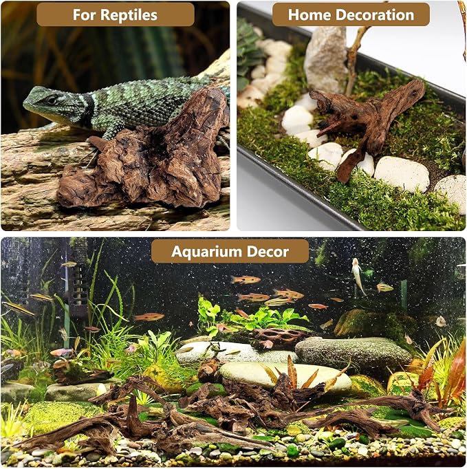 Tfwadmx Natural Small Coral Driftwood for Aquarium Decor 6 Pcs 4-6" Fish Tank Decorations Reptile Decor Assorted Driftwood Branch Reptile Tank Wood Decor