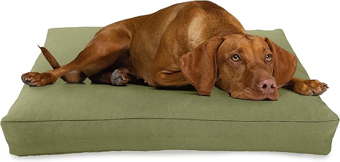 XX-Small - 18 x 12 x 4 - Cactus Premium Organic Hemp Dog Bed - Organic Latex Fill - Removeable Cover