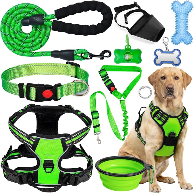 No Pull Dog Harness Adjustable Collar & Leash Set - Dog Halter Harnesses Collapsible Bowls & Poop Bag Dispenser Muzzle ID Tags Toys Fits Small Medium Large Dogs (Green-XL)