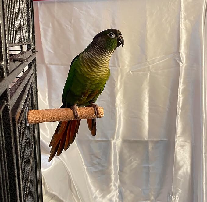Polly's Pastels Nail Trimming & Beak Conditioning Safety Perch for Cockatiels, Cockatoos, Macaws, Parakeets, Budgies, Parrots and All Other Birds (Brown, Baby Medium-3/4 Dia. x 5