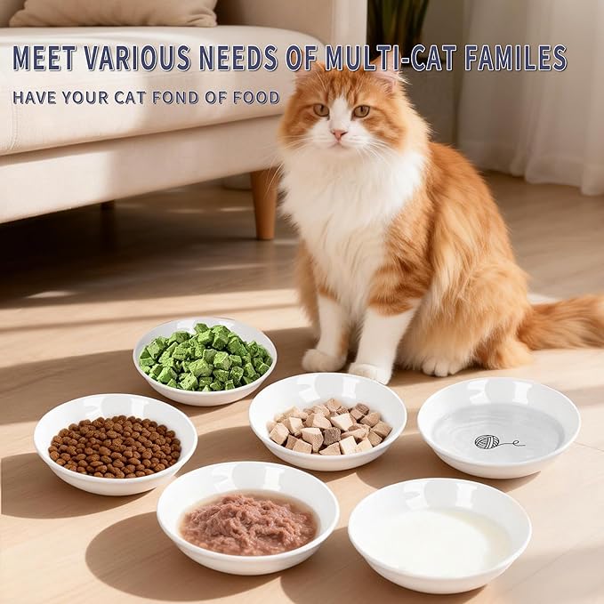 6 Pack Ceramic Cat Bowls, Shallow Cat Food Bowls Set with Non-Slip Silicone Base, Dishwasher Safe Small Pet Bowls for Cats & Kittens (Classic cat Elements)