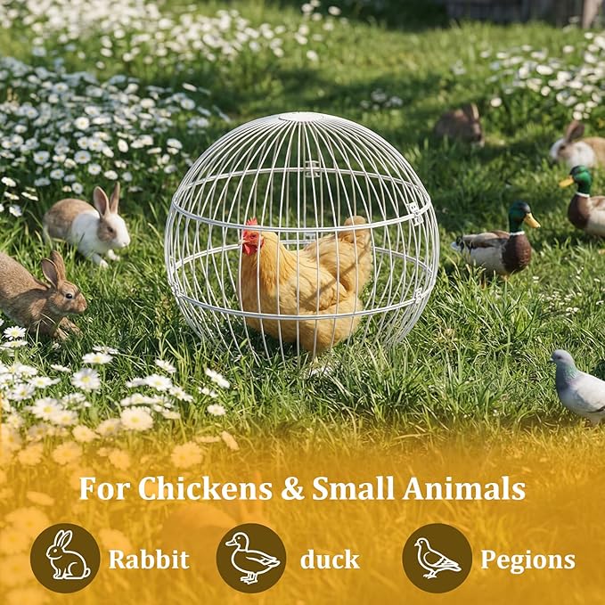 SORENCUT 17.7 Inch Metal Chicken Ball Cage, Large Rolling Chicken Ball Cage with Secure Snap-Lock Closure, Easy Assembly Outdoor Chicken Exercise Enclosure for Small to Medium Chickens