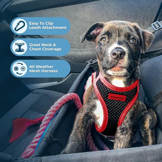 Best Pet Supplies Voyager Step-in Air All Weather Mesh Harness and Reflective Dog 5ft Leash Combo with Neoprene Handle, for Small, Medium and Large Breed Puppies - Set (Red Trim), Medium