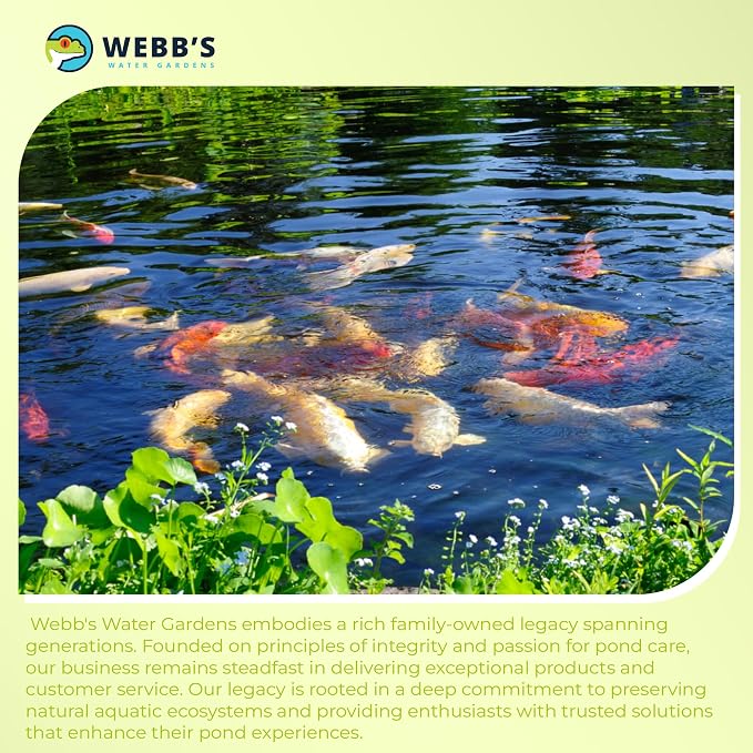 Webb's Water Gardens Essential Tap Water Conditioner Dechlorinator - Ideal for Ponds, Freshwater & Aquariums - Concentrated Formula for Dechlorinated Water - Liquid Supplies for Aquatic Pets - 16oz