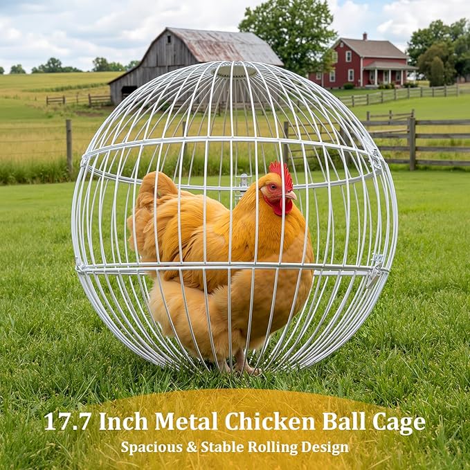 SORENCUT 17.7 Inch Metal Chicken Ball Cage, Large Rolling Chicken Ball Cage with Secure Snap-Lock Closure, Easy Assembly Outdoor Chicken Exercise Enclosure for Small to Medium Chickens