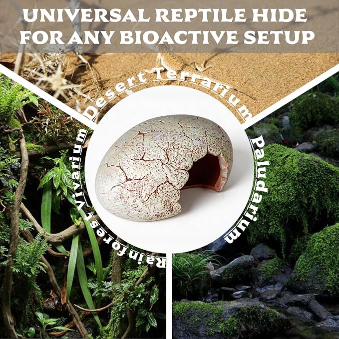 Dinosaur Egg Reptile Hide - Resin Cave for Leopard Gecko, Bearded Dragon & Small Snakes - Humid Hide, Shedding Aid & Terrarium Decor Tank Accessories (Small)