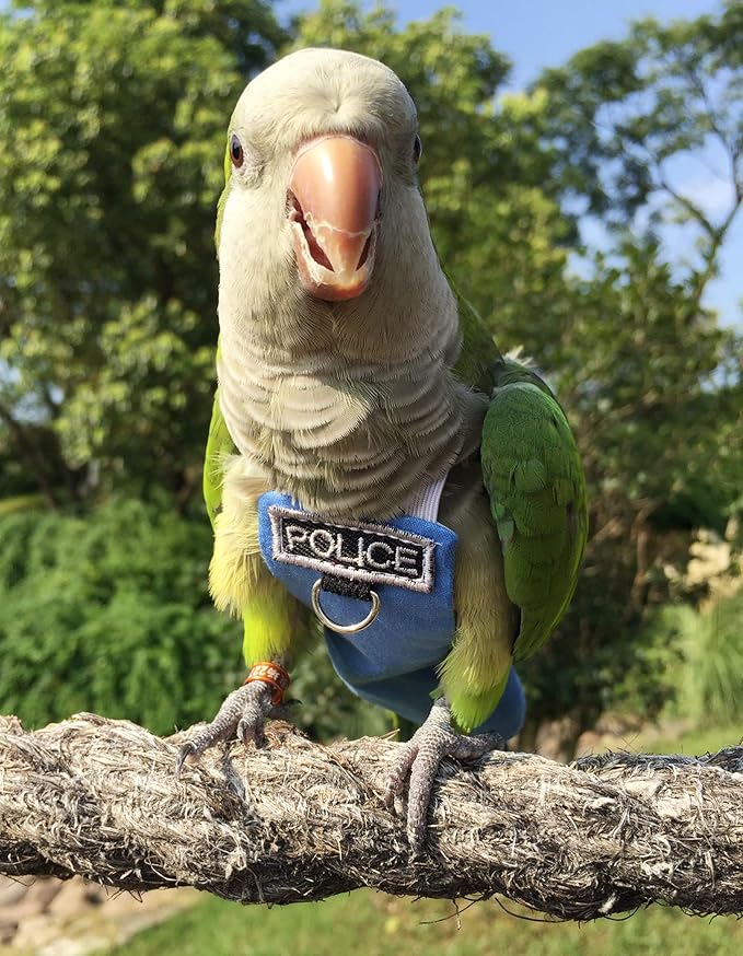Bird Clothes Parrot Diapers, Reusable Waterproof Diapers, Flight Suits (XL)