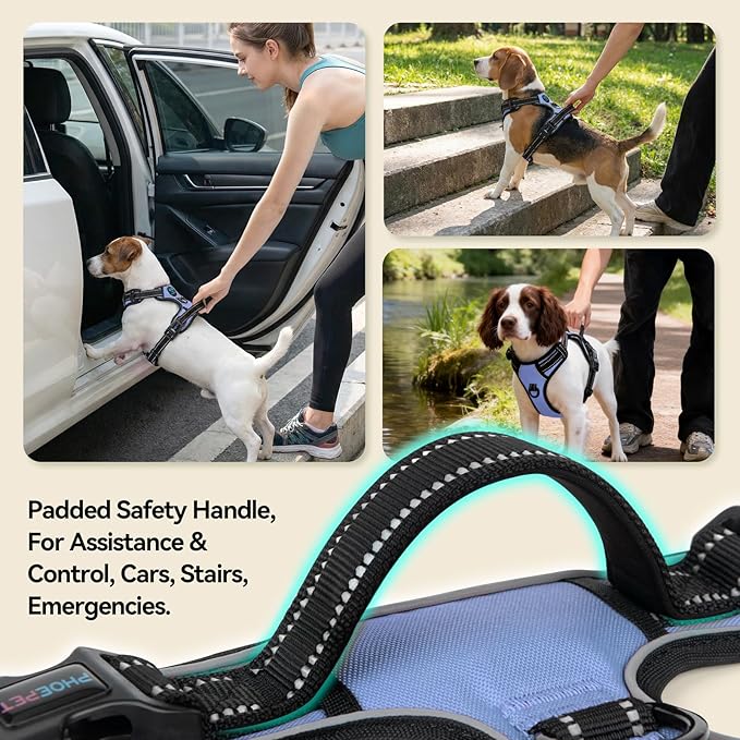 PHOEPET No Pull Dog Harness Reflective Adjustable with 2 Metal Leash Hooks and Soft Training Handle [Over The Head Design](M, Baby Blue)