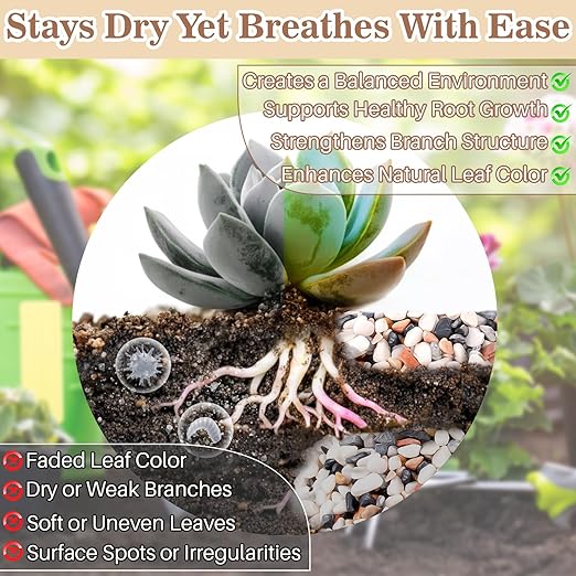 Sukh Mix Color Pebbles for Cactus - 420G Polished River Stones | 1/5 Inch Cactus Gravel Pebbles, Natural Decorative Small River Rocks for Gardening, Vases, Landscaping and Fish Tanks