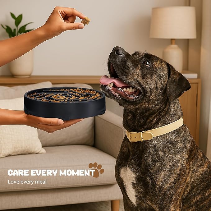 WHIPPY Slow Feeder Dog Bowl, Puzzle Maze Design to Slow Down Eating, 3-Cup Capacity, Anti-Gulping Food Bowl for Medium & Large Dogs,Gray
