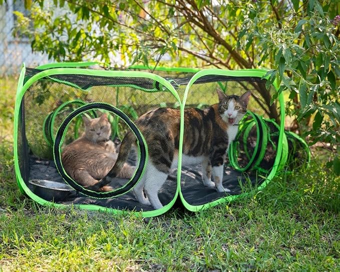 Small Animal Playpen Guinea Pig Hedgehog Cage Rabbit Cage with Fun Surround Tunnel Breathable & Transparent Pop Open Exercise Yard Fence with Top Cover Anti Escape