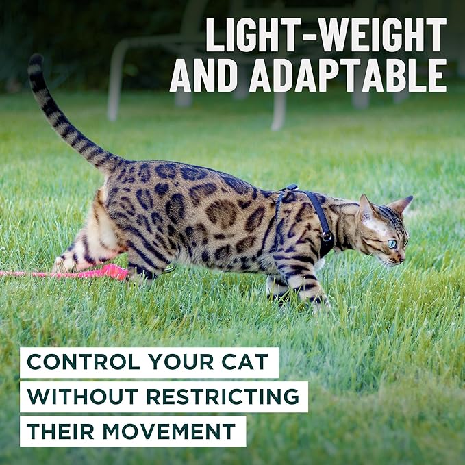 Houdini™ Escape Proof Kitten Harness and Leash Set by OutdoorBengal – Extra Small – Comfy, Adjustable and Lightweight - Houdini Cat Harness Escape Proof for Small Cats + Cat Leash 6ft (Pink, XS)
