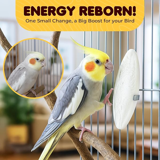SunGrow 3 Pack Cockatiel Cuttlefish Bone, Calcium Addition to Bird Beak Care, Cage Mount Holder NOT Included, Support Shell Strength, Turtle, Shrimp, Dog, Snail, Aviary Clip, Accessory Reptile