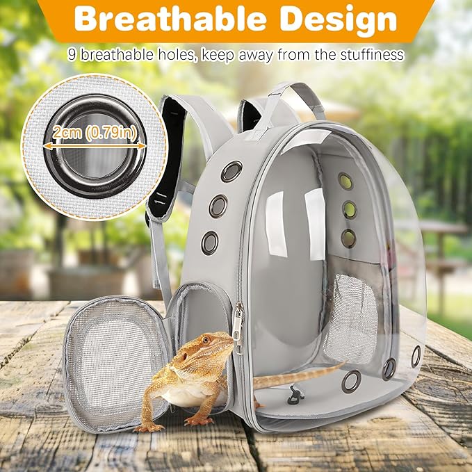kathson Bearded Dragon Carrier with Harness and Leash Set, Large Reptile Travel Carrier Portable Lizard Backpack Clear Small Animals Carrying Bag for Gecko Hamster Rabbit Hedgehog Kitten (Gray)