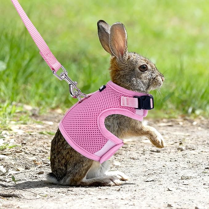 AIITLE Lightweight Escape Bunny Harness and Leash Set - Air Mesh Vest with Double D-Rings, Adjustable & Magic Tape Design, for Ferret/Cat/Puppy Training and Hiking Adventures, Pink L