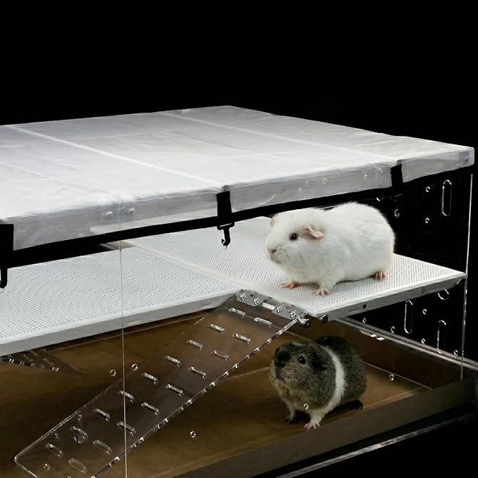 GuineaLoft™ Model-A3Loft Two-Level Acrylic Guinea Pig Cage w/ 2nd Floor Loft, Ramps, Beams & Gauze Lid, Large 4ft(L) x 2ft(W) x 1.3ft(H) Expandable C&C Cage, Works Also for Bunnies, Quails, Hedgehogs
