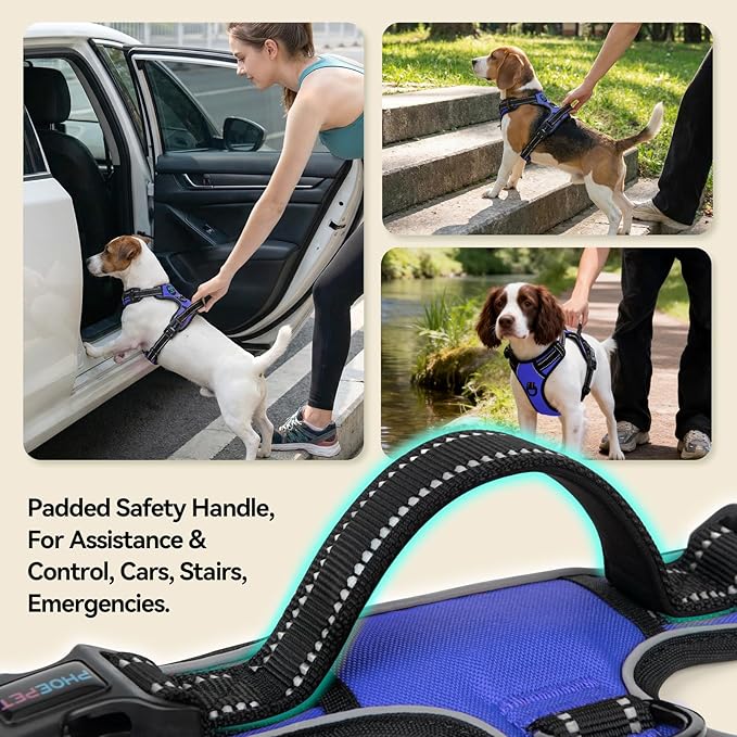PHOEPET No Pull Dog Harnesses for Small Puppies Reflective Adjustable Front Clip Vest with 2 Metal Leash Attachment Hooks Soft Handle [Over The Head Design](XL, Royal Blue)