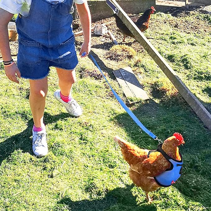 Chicken Harness (Medium, Blue) with Leash, Breathable, Adjustable, Comfortable for Chickens, Ducks, Geese, and Small Pets