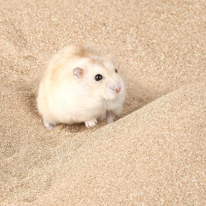 BUCATSTATE Bath Sand and Hamster Sand Bath Container with Ladder