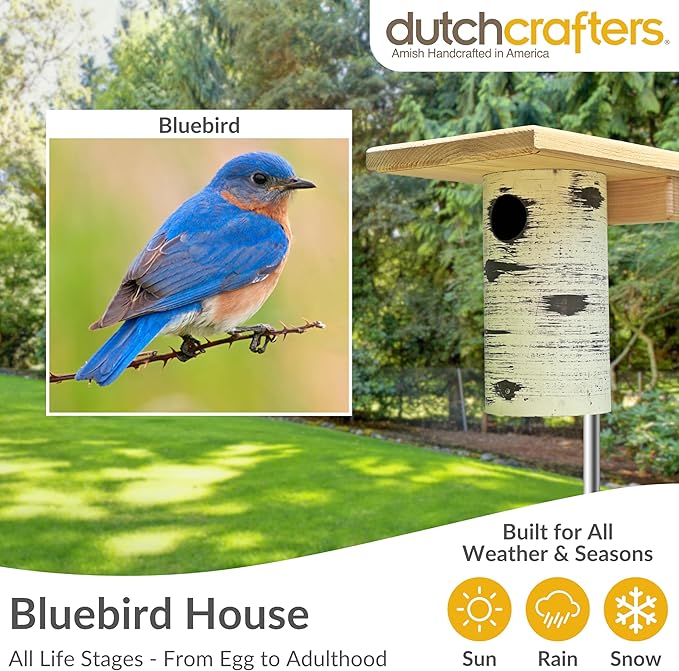DutchCrafters Cedar Wood Pole Mount Gilbertson Bluebird House with Removable Base, Weatherproof Wooden Birdhouse Blue Bird Nesting Box for Outdoors