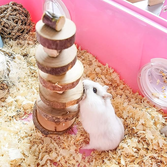 FJNATINH Small Animal Chews Toy Apple Wood Block Cage Hanging Molars Treats Snack for Hamsters Rabbits Bunny Bird Parrots Chinchilla Guinea Pig Gerbils Squirrels, 2 Pack