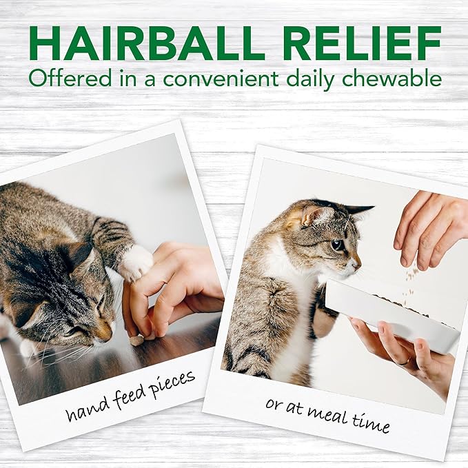 Vet’s Best Cat Hairball Relief Digestive Aid, Vet Formulated Hairball Support Remedy, Hairball Relief for Cats, Classic Chicken Flavor, 60 Chewable Tablets (Pack of 12)