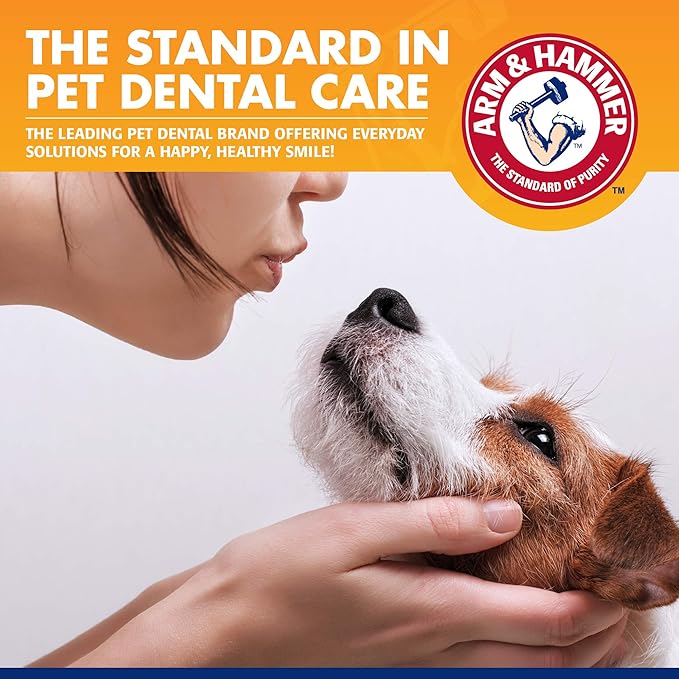 Arm & Hammer for Pets Tartar Control Enzymatic Dog Toothpaste, Reduces Plaque & Tartar Buildup, Infused with Baking Soda, Safe for All Dogs and Puppies, Beef Flavor, 2.5 Oz