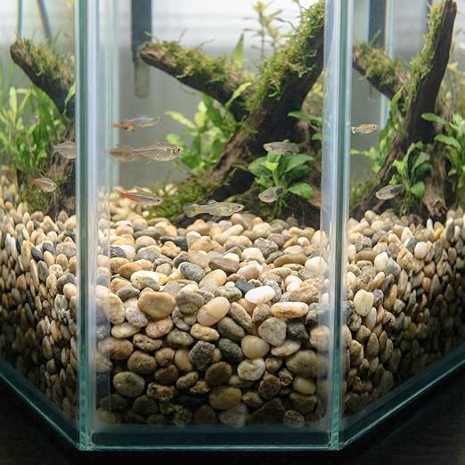 Royal Imports River Rocks, Aquarium Gravel – Natural 0.5"- 0.75" - 5 lbs | Decorative Ornamental Vase Filler Pebbles for Potted Plants, Terrariums, Vases, Succulents, Fish Tank Gravel, DIY & Crafting