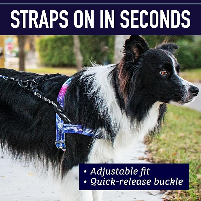 Leash Boss No Pull Dog Harness, Easy Walk for Small, Medium, and Large Pets, Reflective with Rear and Front Clip Attachment (Wave Pattern, Extra Large)