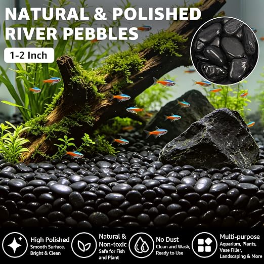 1-2" Polished Pebbles, Medium River Rocks for Potted Plants (20lb, Black) | Natural River Stones, Highly Polished, for Large Planters & Fountains, Retains Soil Moisture,Approx 160-200 Rocks per 20 Lbs