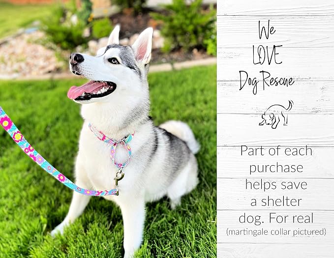 Lucky Love Dog Martingale Collar, Premium No Slip Martingale Collar for Medium Dogs, Great for Whippets, Greyhounds, and More (Caroline, Medium)