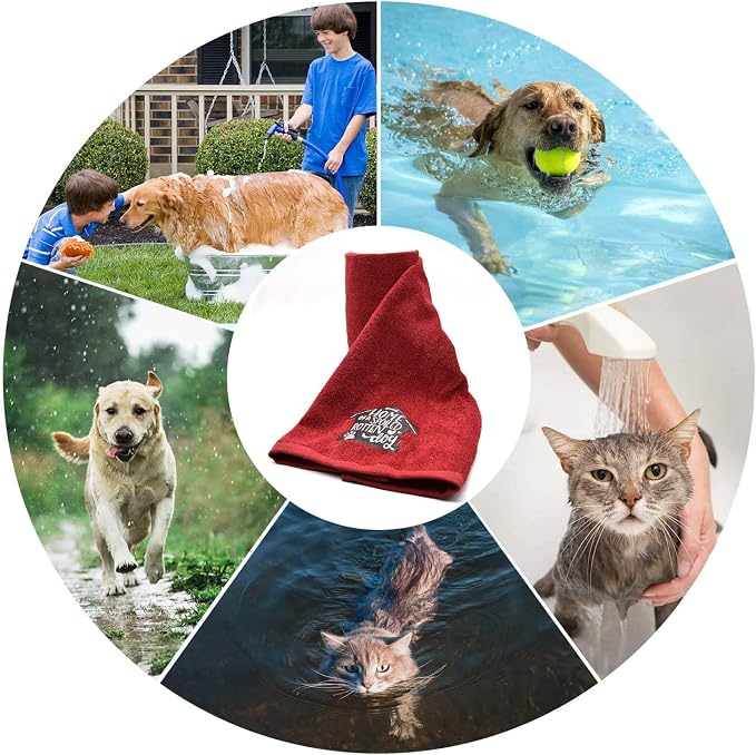 DAN RIVER Dog Towel - Pack of 1, 100% Cotton, 20x40, Ultra Soft 450 GSM, Super Absorbent & Quick Drying Towel for Dogs, Cats, and Other Pets, Salsa.